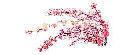 粉色桃花素材