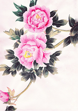国画 牡丹 高清素材