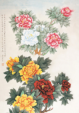 国画 牡丹 高清素材