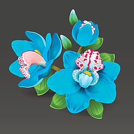 兰色的花朵