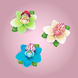 彩色的花朵