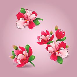 美丽的花朵