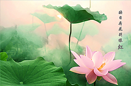 水墨荷花图片