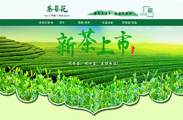 新茶上市