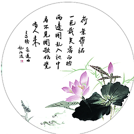 荷花园图片