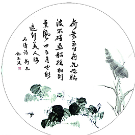 荷花园图片
