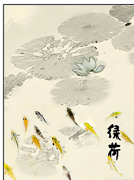 绿荷图片