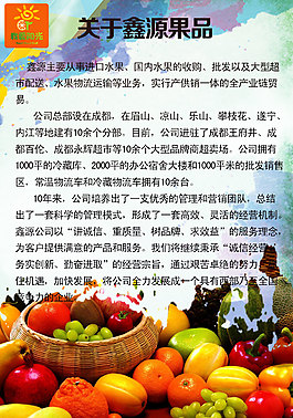 公司简介