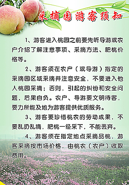 桃采摘园须知图片