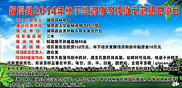 猪苓种植示范基地图片
