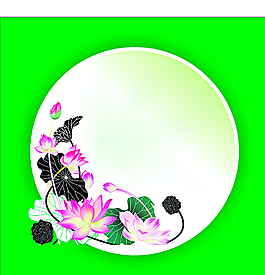 荷花图片