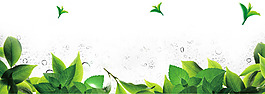 绿叶夏天 春天背景 海报图 banner
