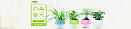 绿植活动Banner