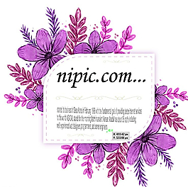 紫色水彩梅花矢量标签图片