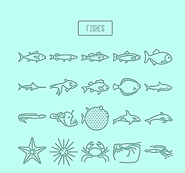 海洋生物矢量图片