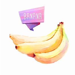 香蕉水果水彩矢量素材图片