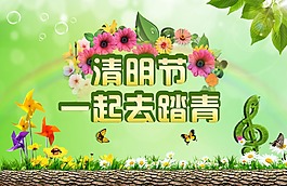 清明节去踏青图片