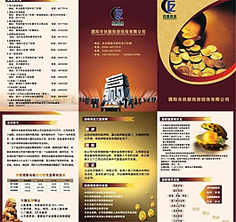 扶振投资担保公司三折页图片
