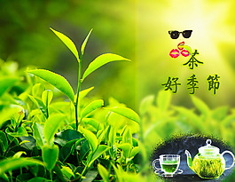 品茶