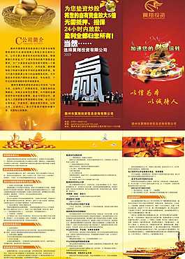 投资公司折页图片