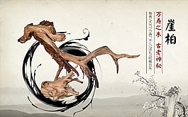 崖柏