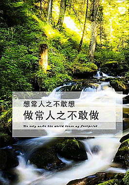 木材图片