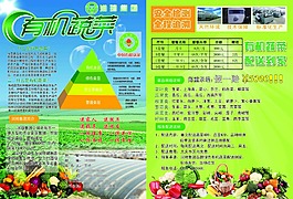 有机蔬菜