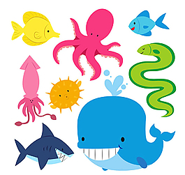彩色海洋生物