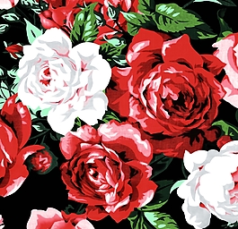 红色漂亮花朵