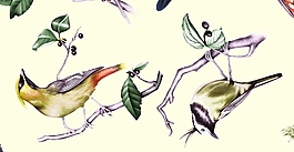 小鸟树枝