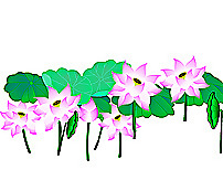 清新脱俗的flash荷花动画