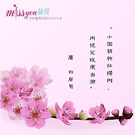 樱花诗词宣传