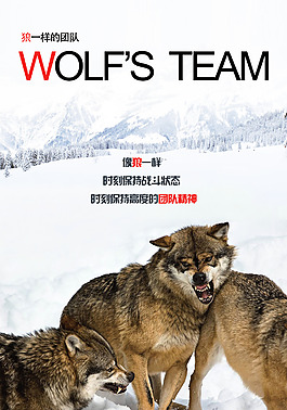 狼性团队图片 狼性团队素材 狼性团队模板免费下载 六图网