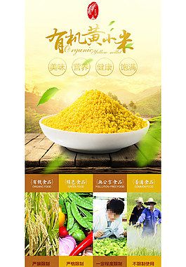黄小米详情页五谷杂粮中国风文化风格psd
