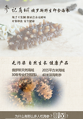 海参
