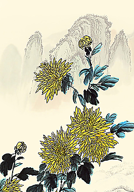 菊花图片