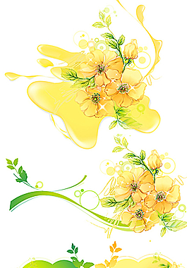 菊花图片