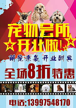 宠物会所图片
