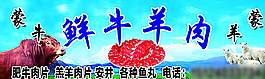 鲜牛羊肉图片