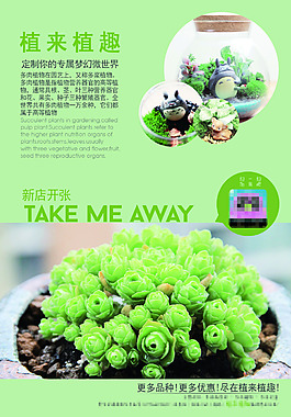 植来植趣 多肉植物海报
