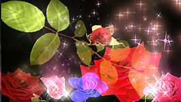 百花齐放
