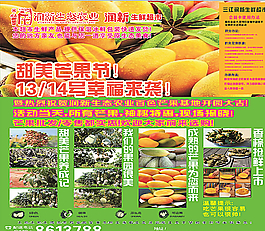 芒果节海报图片