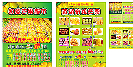 芒果宣传单和对折名片图片