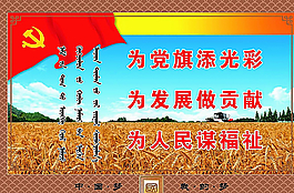 为党旗添风采图片