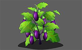 茄子生长的植物flash