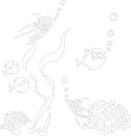 海洋小鱼类