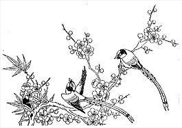 花鸟花纹花边