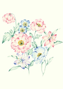 水彩花朵