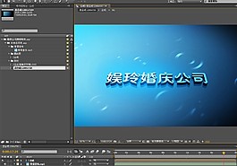020-婚庆公司商标特效