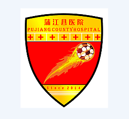 球队队徽logo臂章